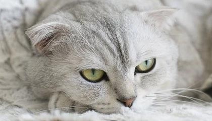 九游APP官网-新闻中心推动数字化转型升级，数字化转型 新闻