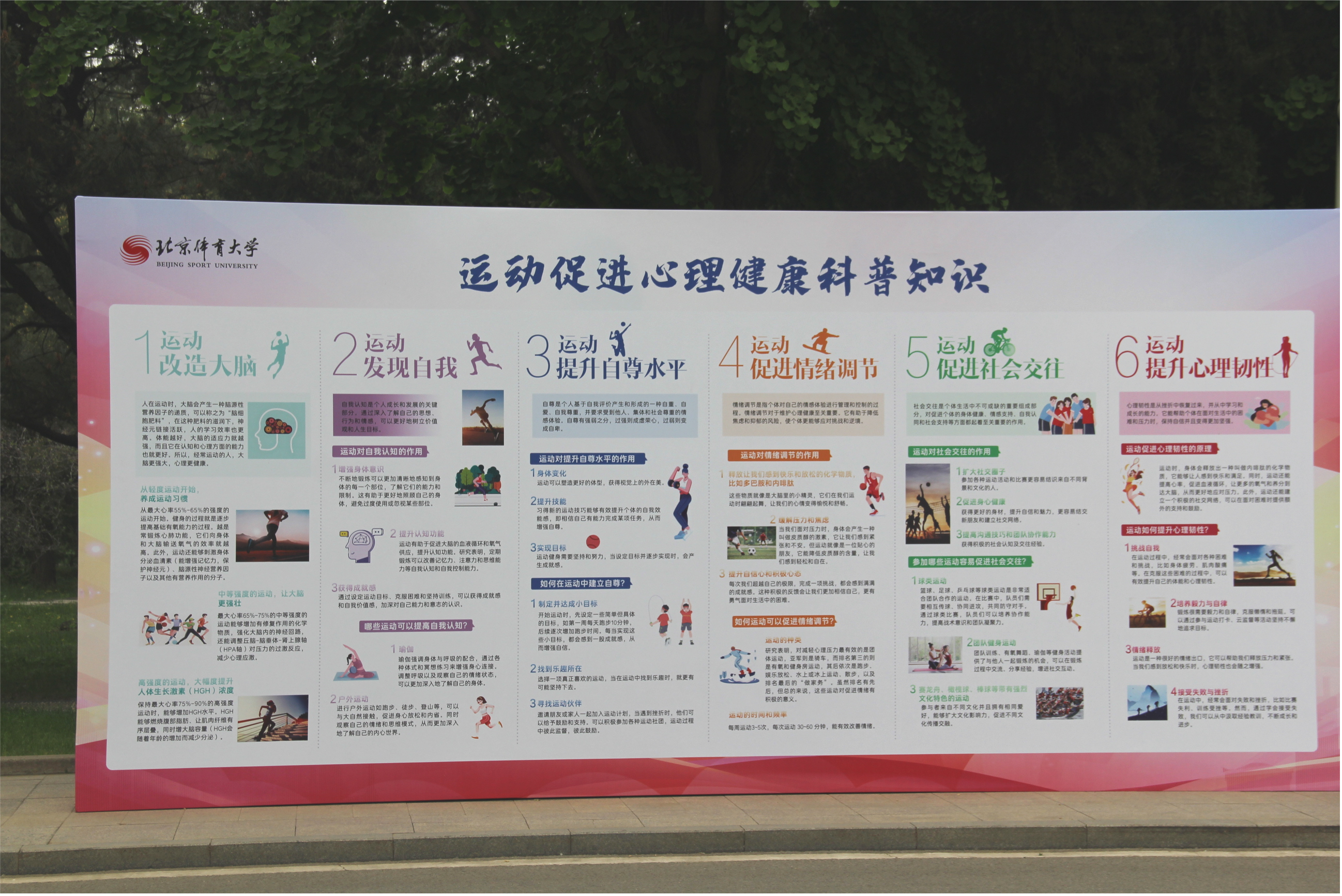 运动员心理健康保护措施全面落实