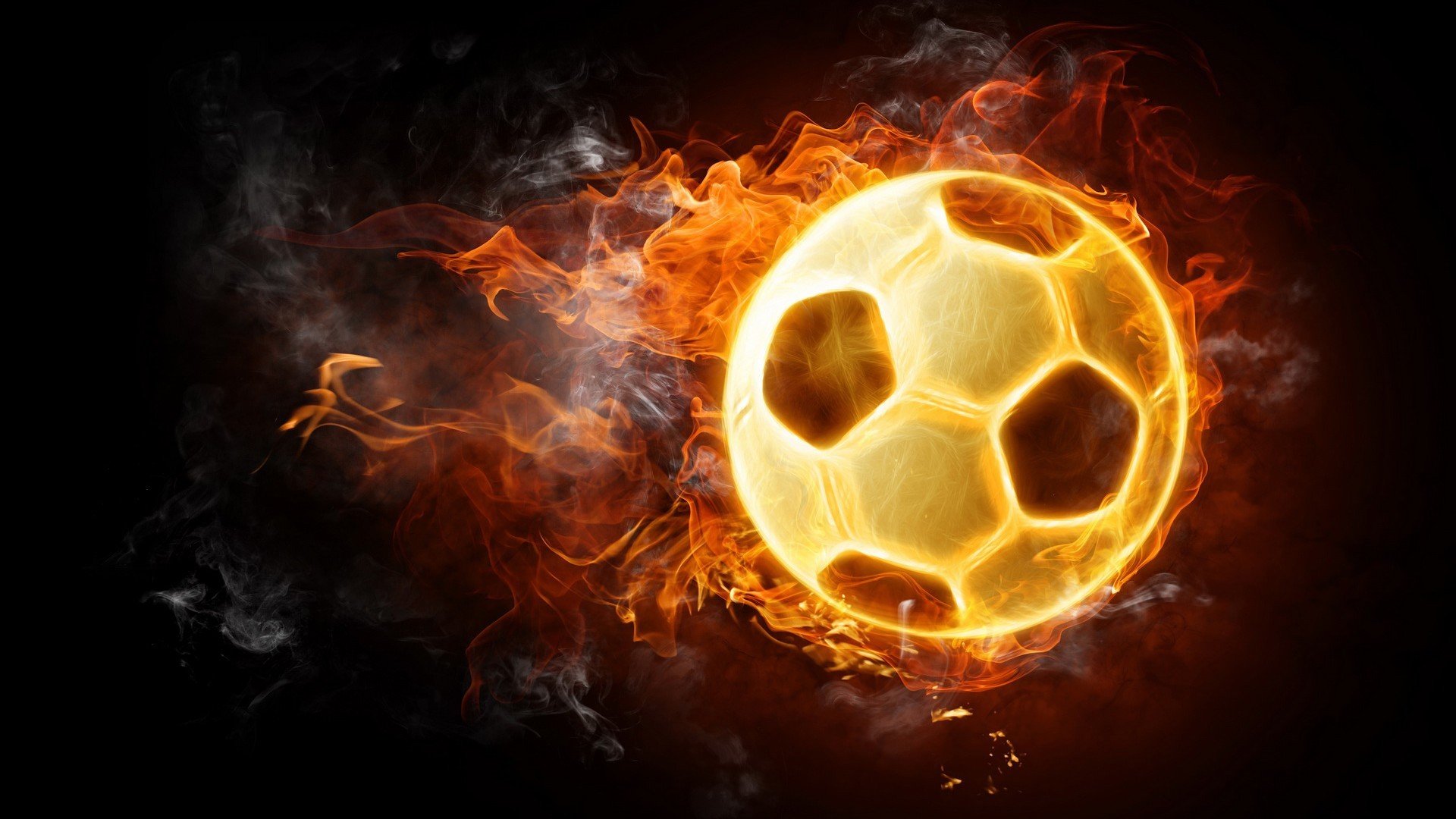 【运动员故事】从新手到世界冠军的奋斗历程，运动员历史